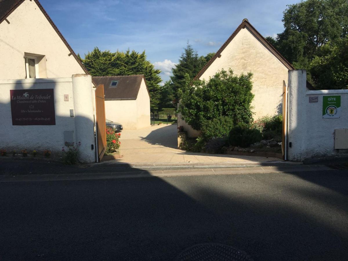 La Maison De Triboulet Chambres Et Table D'Hotes -Amboise- Pocé-sur-Cisse Exterior foto